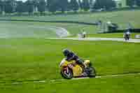 Middle Group Yellow Bikes